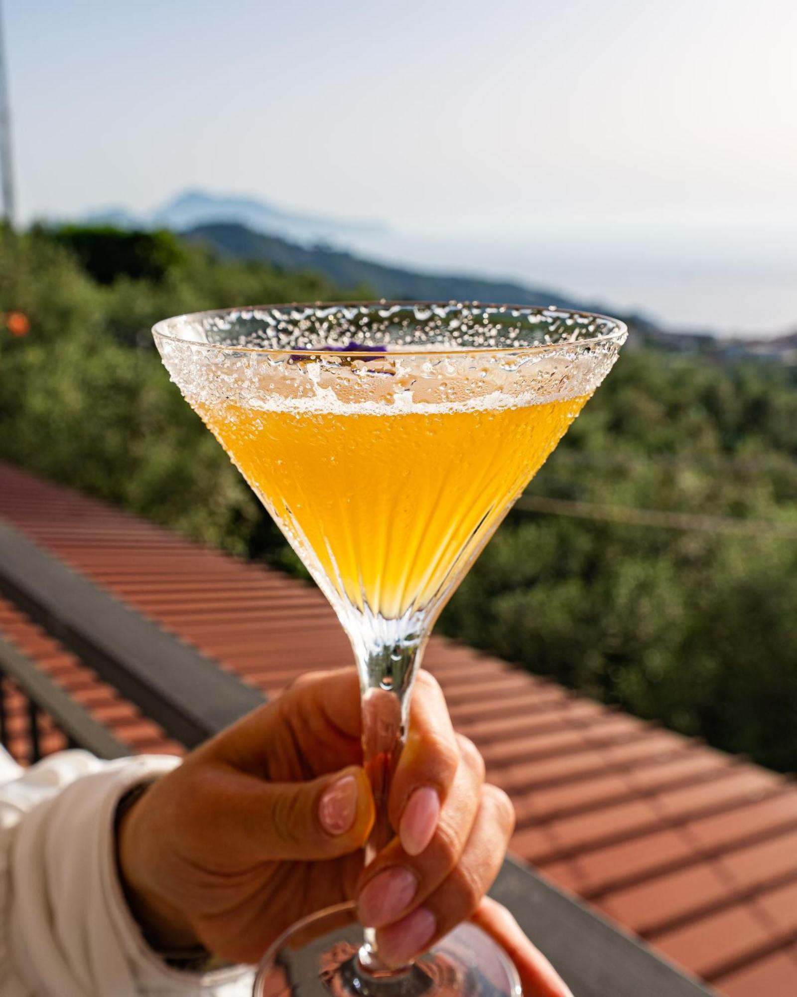 Terrazza Iride Ξενοδοχείο Massa Lubrense Εξωτερικό φωτογραφία